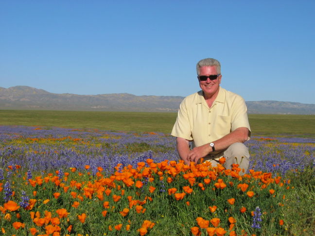 Huell in Poppies